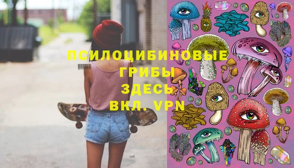 гидра Балабаново