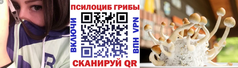 продажа наркотиков  Стрежевой  Галлюциногенные грибы мицелий 